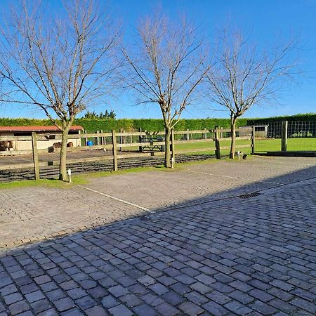 B&B 't Hannonshof Nieuwpoort Exteriör bild